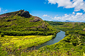 The Wailua River, Kauai, Hawaii, United States of America, Pacific