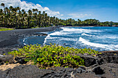 Punaluu Black Sand Beach on Big Island, Hawaii, United States of America, Pacific