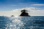 Backlight of a lonely rock sitting in the ocean, Abel Tasman National Park, South Island, New Zealand, Pacific