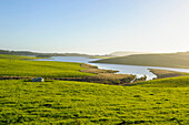 Little lake in green fields, the Catlins, South Island, New Zealand, Pacific