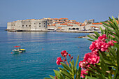 View of Old Town, UNESCO World Heritage Site, Dubrovnik, Dalmatia, Croatia, Europe