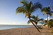 Hammock, Turner's Beach, Antigua, Leeward Islands, West Indies, Caribbean, Central America