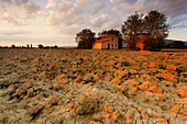 Dry ground at sunset with a cottage in the background in the Umbria's countryside, Umbria, Italy