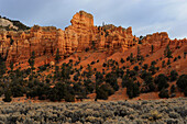 ROCK FORMATIONS IN RED CANYON, DIXIE NATIONAL FOREST, UTAH, USA