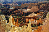 SANDSTONE FORMATIONS CALLED HOODOOS, BRYCE CANYON NATIONAL PARK, UTAH, USA