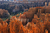 SANDSTONE FORMATIONS CALLED HOODOOS, BRYCE CANYON NATIONAL PARK, UTAH, USA