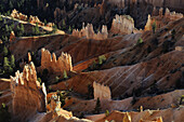 SANDSTONE FORMATIONS CALLED HOODOOS, BRYCE CANYON NATIONAL PARK, UTAH, USA