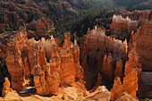 SANDSTONE FORMATIONS CALLED HOODOOS, BRYCE CANYON NATIONAL PARK, UTAH, USA