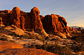 SANDSTONE PILLARS, GARDEN OF EDEN, ARCHES NATIONAL PARK, UTAH, USA