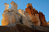 HOODOOS SEEN FROM THE BASE, SANDSTONE FORMATIONS, BRYCE CANYON NATIONAL PARK, UTAH, USA