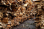 France, Burgundy, Leuglay (21 ), wood planks after the rain