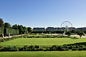 France, Paris, 1st district, Garden of the Tuileries