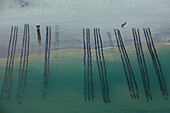 France, Somme (80), Opal Coast, the beach, park shellfish (aerial view)