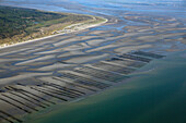 France, Somme (80), Opal Coast, the beach, park shellfish (aerial view)