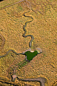 vue aérienne du marais de Marennes. Un ruisseau en forme de serpent. Eau verte