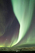 Iceland. Southern region. Selfoss area. Hveragerdi. Aurora Borealis. Stars.