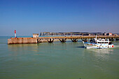 France, Normandie, Seine Maritime (76), Le Treport, harbour