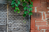 France, Collonges la Rouge, studded wooden door, red stone wall with vines and leaves