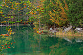 France, Haute-Savoie (74), Green Lake, natural site located in the town of Passy