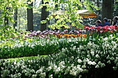 Netherlands, Lisse, Keukenhof garden