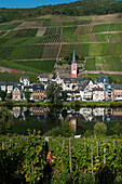 'Fields, vineyards and a village on the edge of a river in Mosel valley; Zell, Rhineland-Palatinate, Germany'