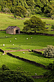 Barn In Field, Derbyshire, England