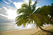 Sipadan Island, Sabah, Malaysian Borneo, Malaysia, Southeast Asia