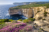 Cliffs Along Ocean With Wildflowers