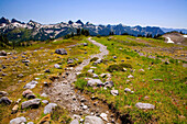 Mountain Trail, Tatoosh Mountains, Mount Rainier National Park, Washington State, Usa