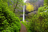 Latourell Falls, Columbia River Gorge, Oregon, Usa