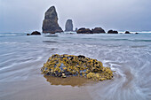 Low Tide And Needles, Oregon's Coast, Usa