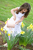 Girl Watering Daffodils