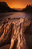 'Banff, Alberta, Canada; Driftwood And A Mountain River At Sunset'