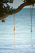 'Koh Chang, Thailand; A Swing Hanging From A Tree Branch By The Water'