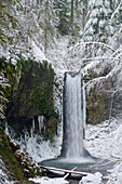 'Oregon, United States Of America; Wiesendanger Falls In Winter In The Columbia River Gorge'