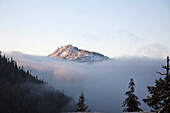 'Washington, United States Of America; First Snow At Yakima Peak In Mt. Rainier National Park'