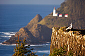 'Oregon, United States Of America; Heceta Head Lighthouse Along The Coast'