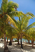 'Roatan, Bay Islands, Honduras; The Beach At Anthony's Key Resort'