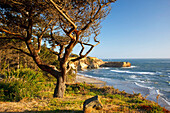 'Oregon, United States Of America; Otter Rock Beach Along The Coast'