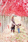'A Mother And Son Playing In The Trees; Gresham, Oregon, Usa'