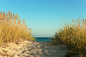 'Dos Mares Beach In Front Of Hotel Dos Mares; Tarifa, Cadiz, Andalusia, Spain'