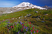 'Wildflowers At The Foot Of Mt. Rainier In Paradise Park In Mt. Rainier National Park; Washington, United States Of America'