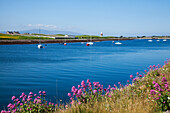 'Boats In Harbour; Rosses Point, County Sligo, Ireland'