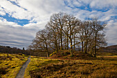 'Rural Pathway; Langdale, Cumbria, Ireland'