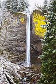 'Snow Adds Beauty To Latourell Falls, Columbia River Gorge National Scenic Area; Oregon, United States Of America'