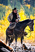 Cowboy On His Horse With His Dog, Alberta, Canada