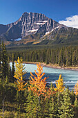 Autumn By Athabasca River, Jasper National Park, Alberta, Canada