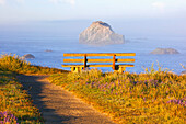 'Fog Covers Rock Formations And A Bench Along The Coast At Bandon State Park; Bandon, Oregon, United States of America'