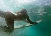 'A Woman On A Surfboard Under The Water; Tarifa, Cadiz, Andalusia, Spain'