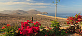 'Hilltop View Near Todos Santos; Baja California Sur, Mexico'
